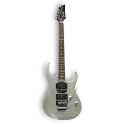Guitarra elctrica Deviser L-G5 Plateada con microafinacin Floyd Rose