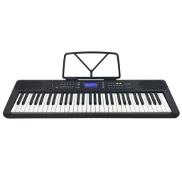 Teclado / Organo de 61 teclas YM-338