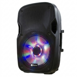 Caja / Bafle / Parlante pasivo de 15" con Luz Led XP-1500P