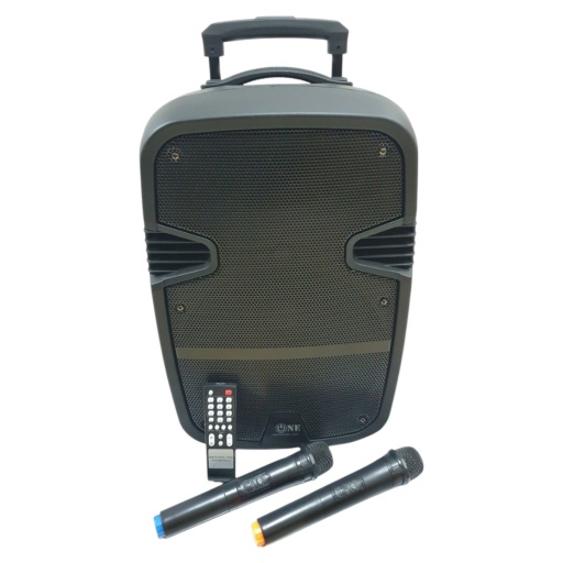 Caja Bafle Potenciada G-120BT 1 x 12" con LED USB FM Bluetooth 220v + 12V GCM Pro