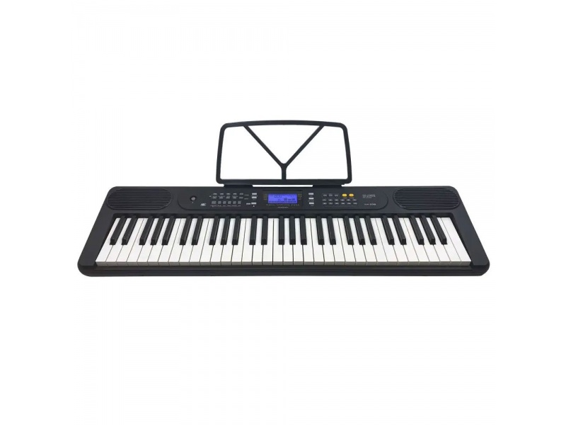 Teclado / Organo de 61 teclas YM-338