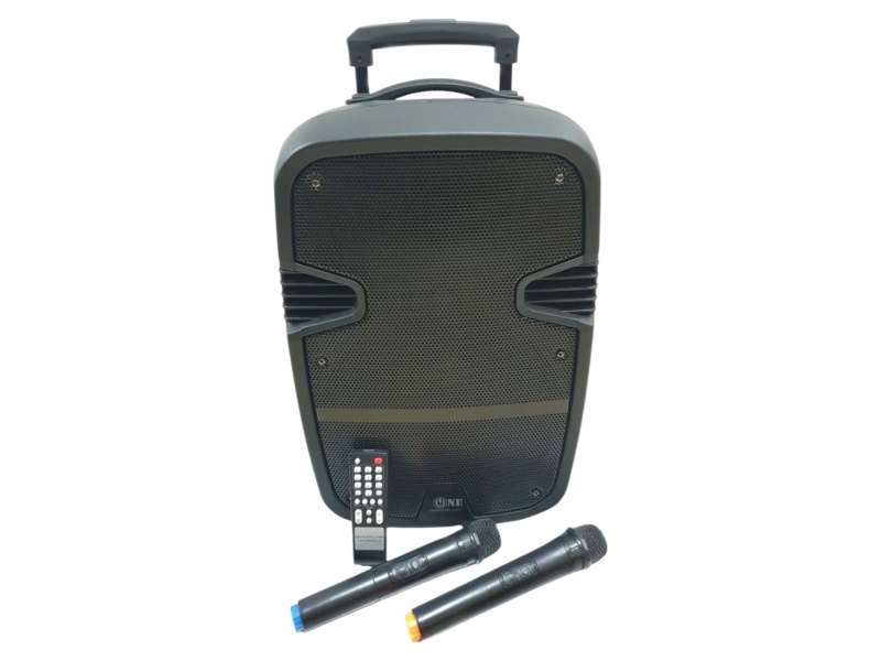 Caja Bafle Potenciada G-120BT 1 x 12" con LED USB FM Bluetooth 220v + 12V GCM Pro