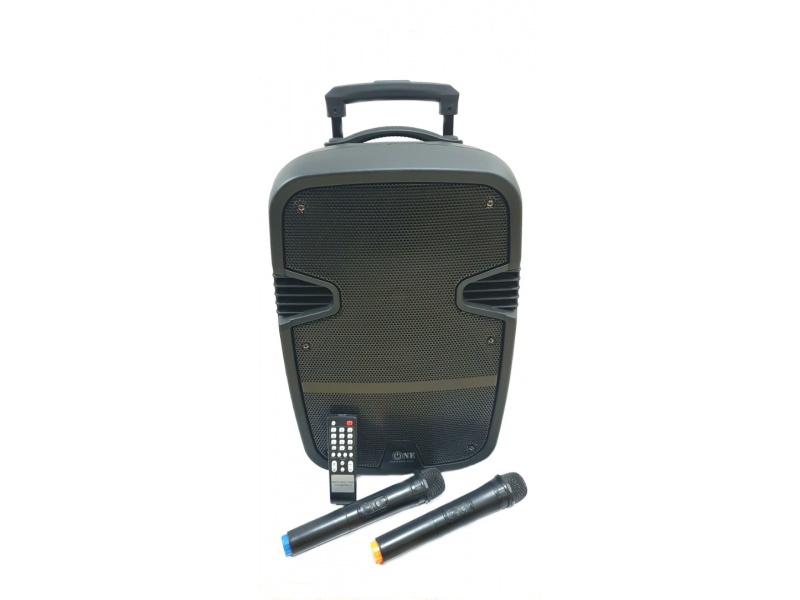 Caja Bafle Potenciada G-120BT 1 x 12" con LED USB FM Bluetooth 220v + 12V GCM Pro